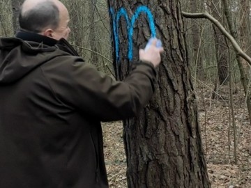 Działania w ramach czynnej ochrony pełnika europejskiego w PPK., 